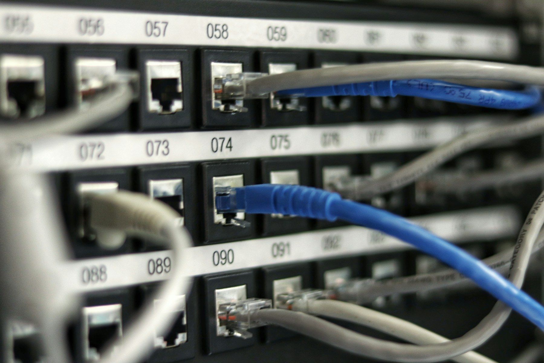 Numbered network patch panel with blue and grey cables plugged in