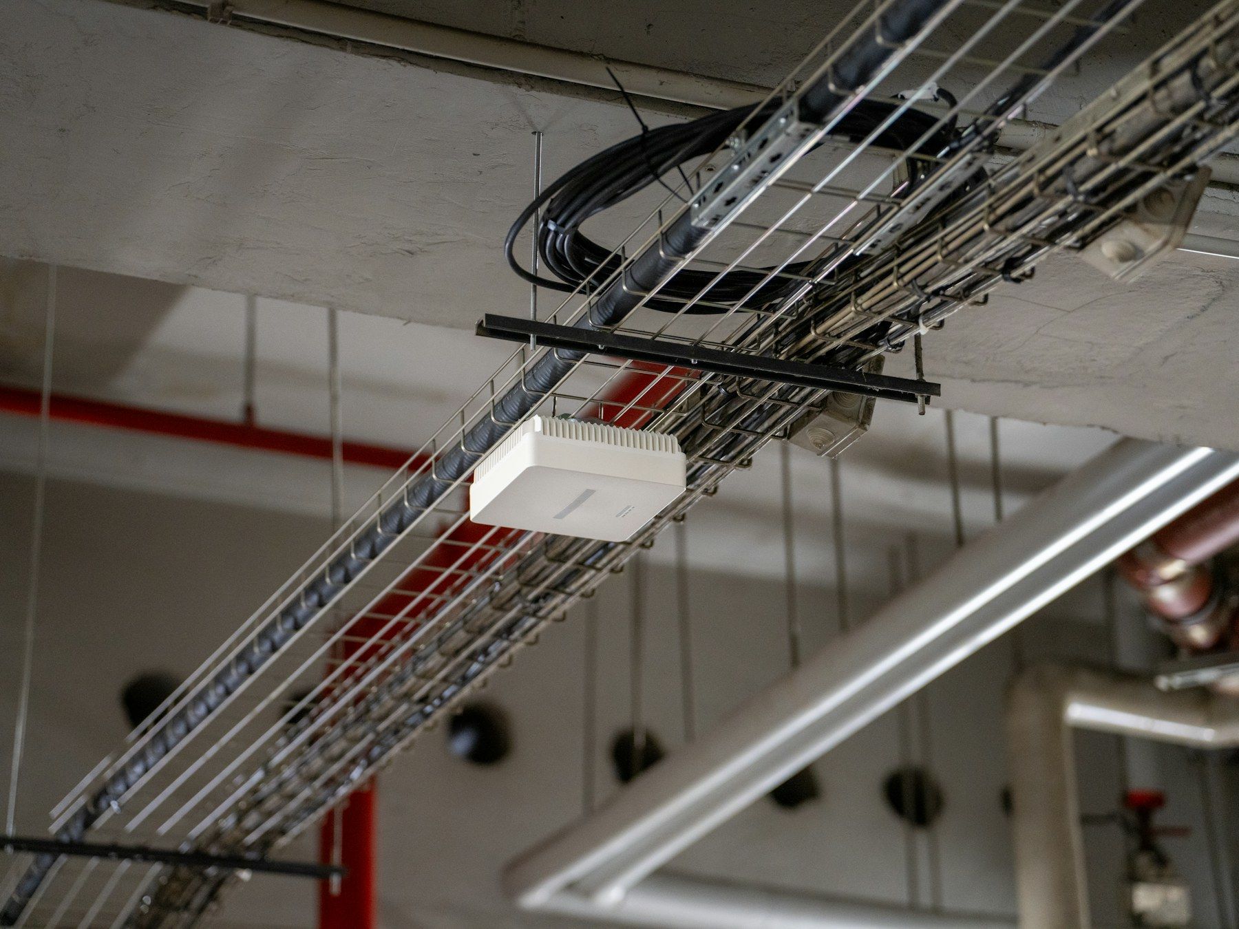 Network device mounted on a ceiling cable tray, with cabling running along it
